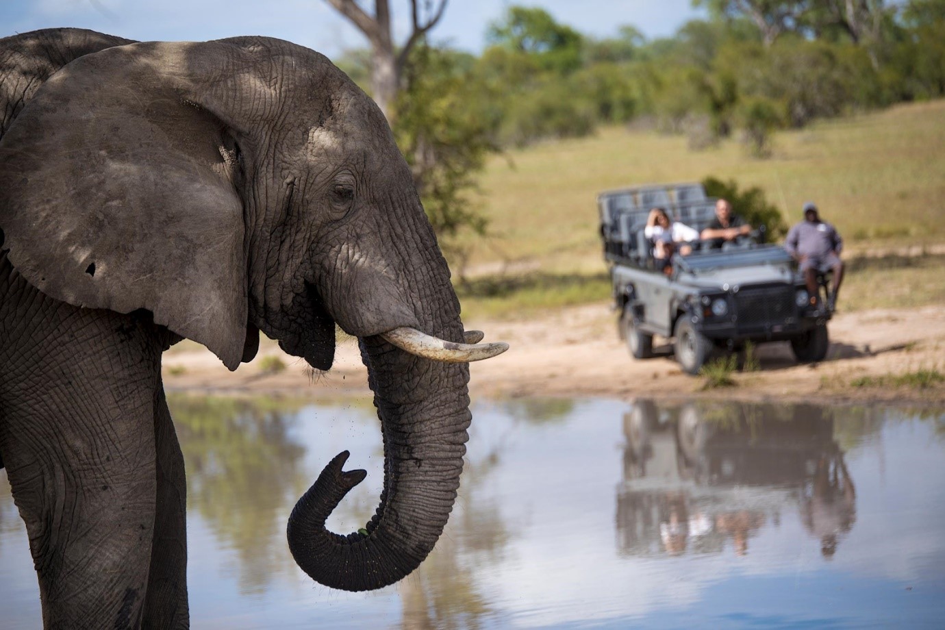 Elephant and safari vehicle in Kruger National Park